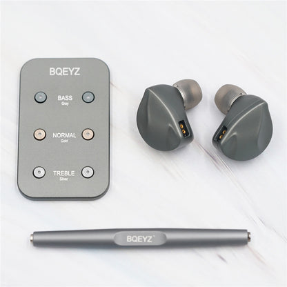 BQEYZ Autumn HiFi IEM Earphone Accessories Kit with Case and Ear Tips