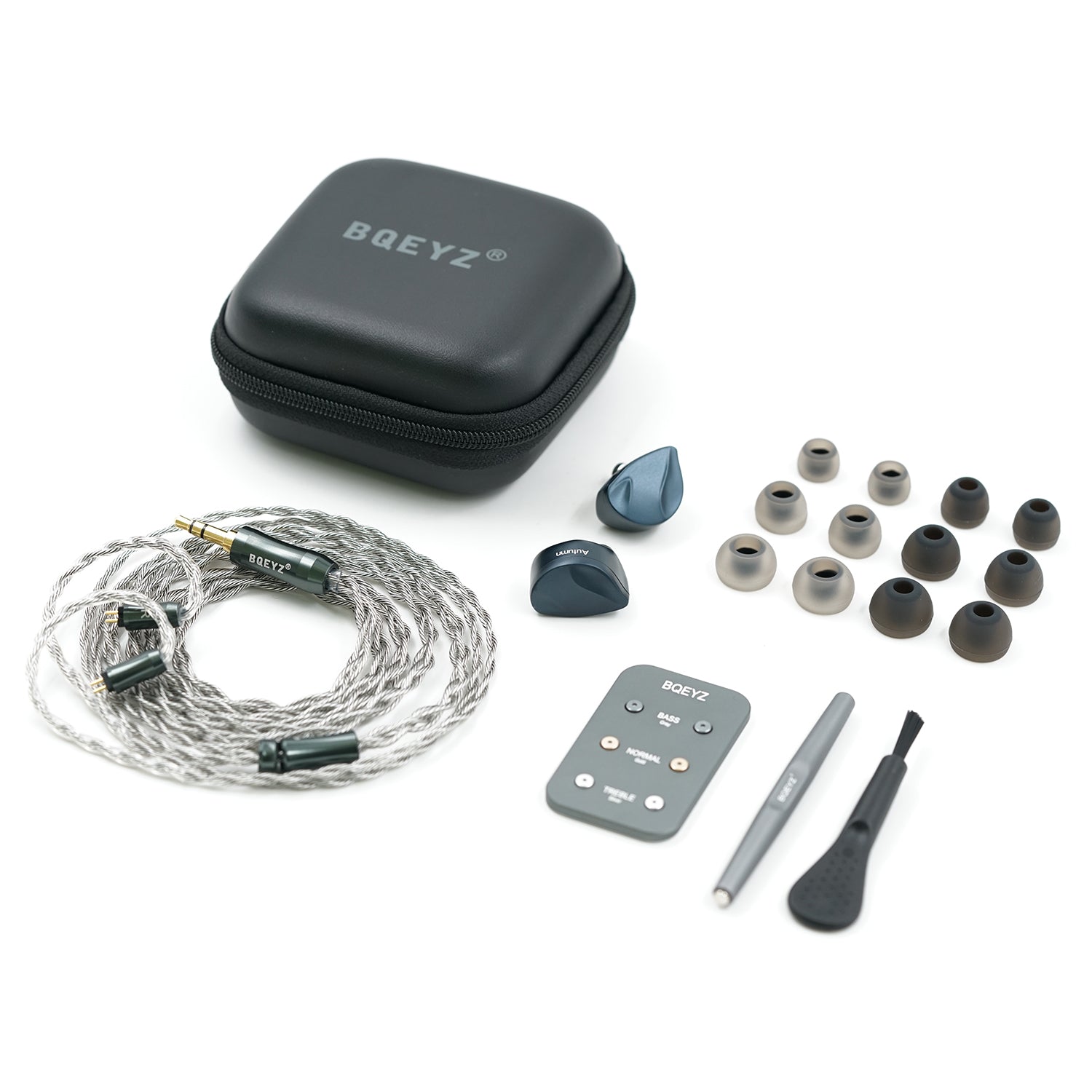 BQEYZ Autumn HiFi IEM Earphone Accessories Kit with Case and Ear Tips