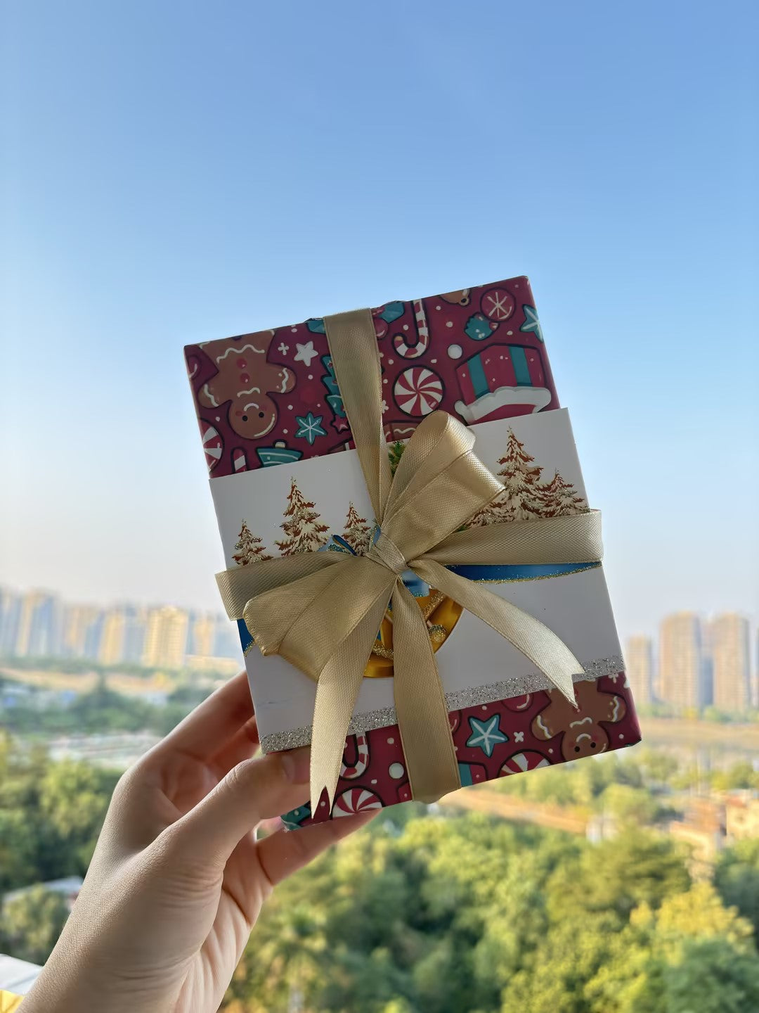 BQEYZ Christmas Gift-Wrapped Hifi IEM Package, Festive Presentation - bqeyz.net